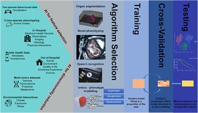 Artificial Intelligence for Cardiac Imaging-Genetics Research